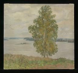 Birch by Anatoli Alekseevich Nebolsin (1934–2006)