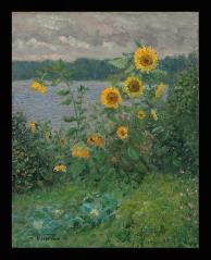 Sunflowers above the River Msta by Alexander Mikhailovich Kurzanov (b. 1938)