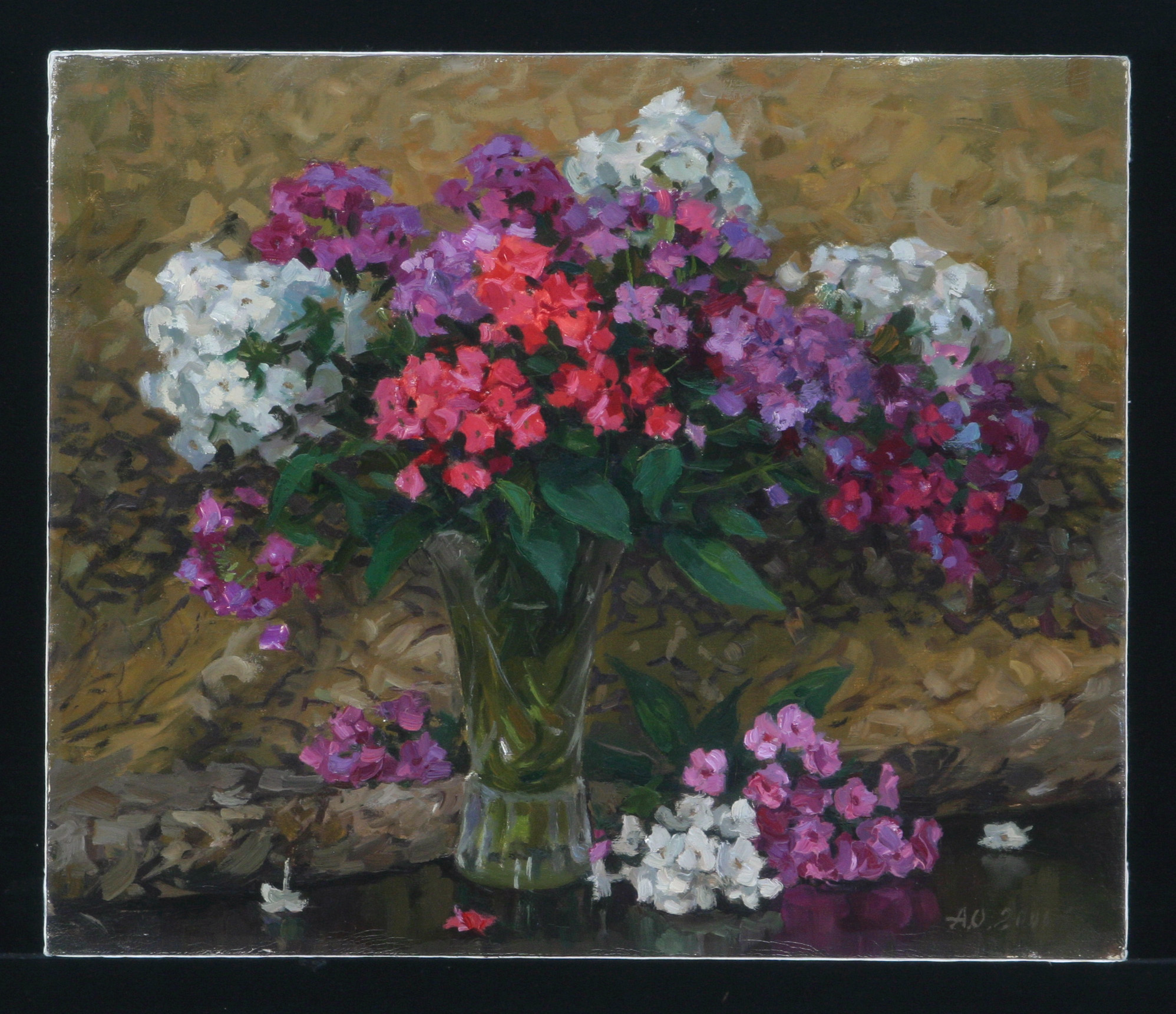 Phlox by Artist Unknown