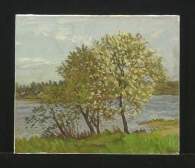 Cherry Tree is Blooming by Yuri Petrovich Dyakov (1929–2008)