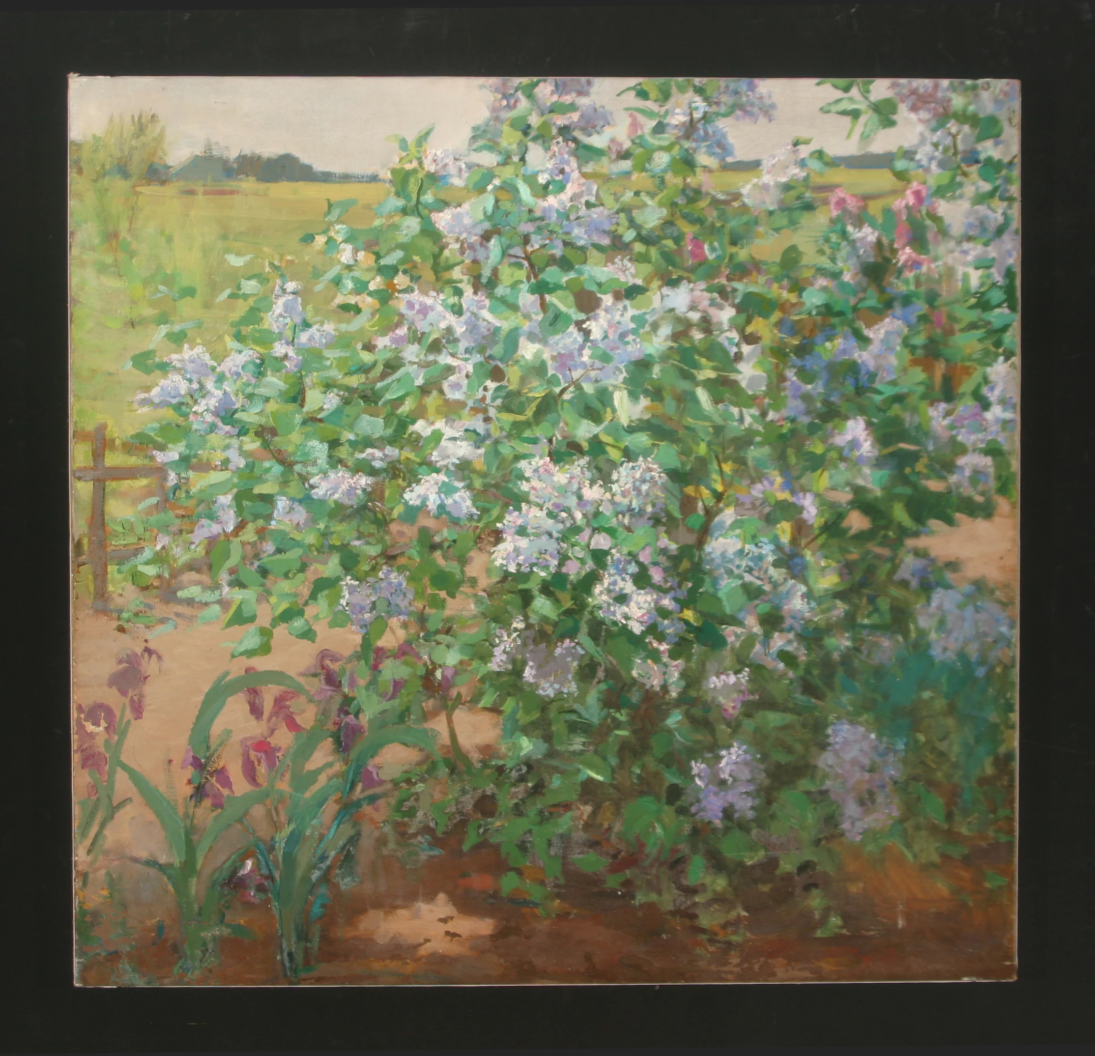 Lilac by Nikolai Alekseevich Trunov (b. 1924)