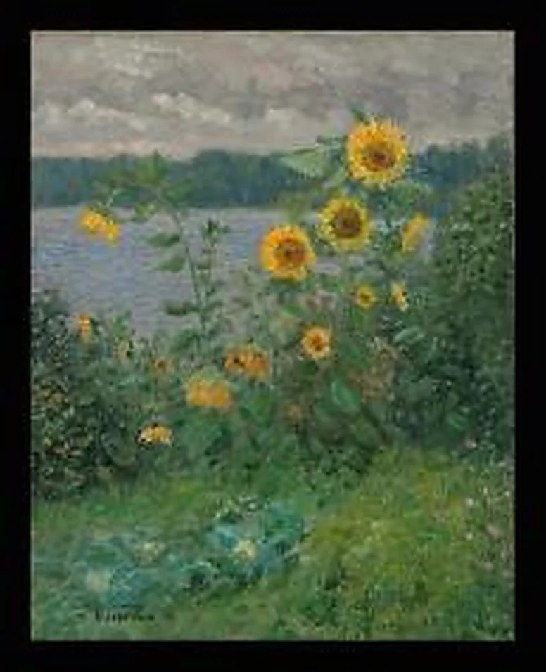 Sunflowers above the River Msta by Alexander Mikhailovich Kurzanov (b. 1938)