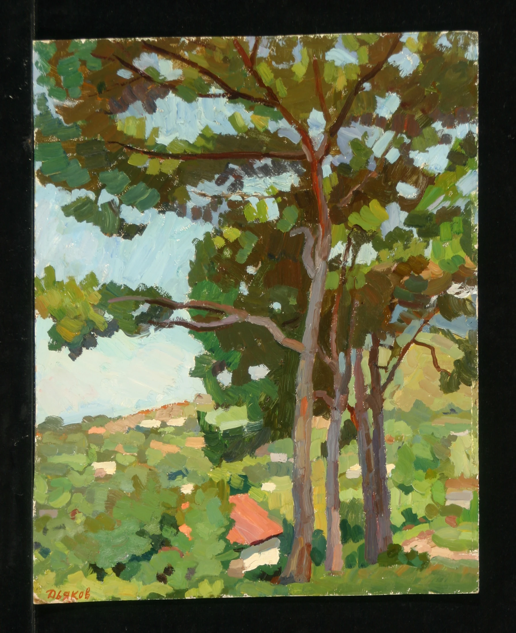 Pine Trees on the Outskirts of the Village Sochi by Yuri Petrovich Dyakov (1929–2008)