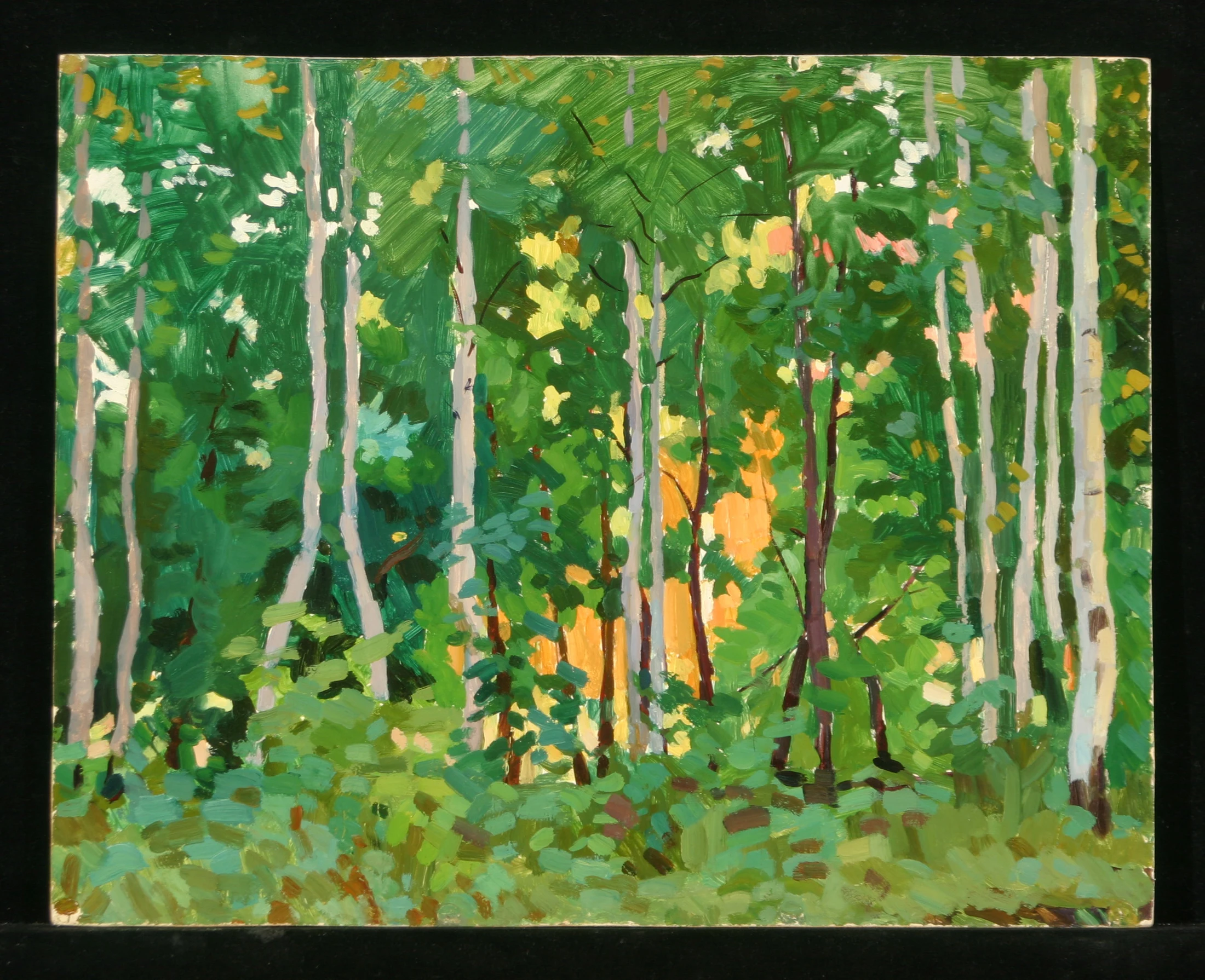 Birches by Yuri Petrovich Dyakov (1929–2008)